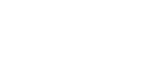 wink logo white